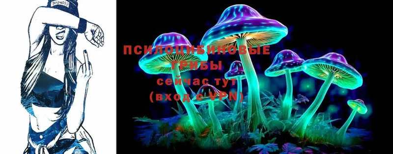 сколько стоит  Приморско-Ахтарск  Псилоцибиновые грибы Psilocybe 